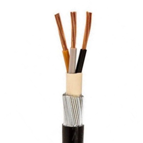 2.5MM 3-CORE SWA (50MTRS) (20S) (NO.5/385AA01)