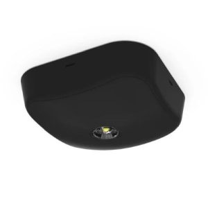 ANSELL FALCON 6-5K LED 3NMSURFACE D/L ER&OR ST