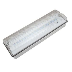 BRITE SOURCE 5W MAINT/NON- MAINT EMERGENCY BULKHEAD WITH LEGEND