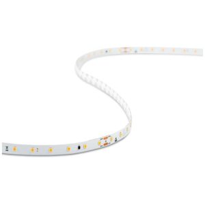 COLLINGWOOD 2M LENGTH OF STRIP PREMIUM 4.8W/M IP20