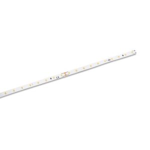 COLLINGWOOD STRIP STANDARD 4.8W/M IP20 3000K MAX RUN 5M, REEL 50M