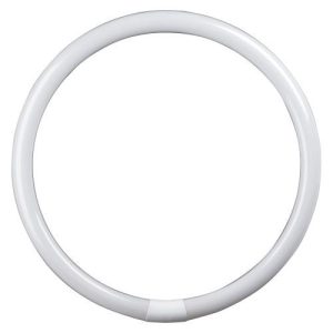 22W T9 CIRC FLU 210MM G10Q WARM WHITE 827
