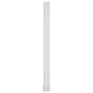 BRANDED 55W 4PIN PLL COL-840 2G11