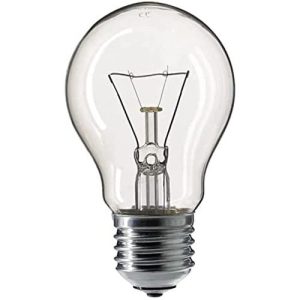 100W ES ROUGH SERVICE 110V