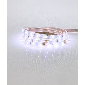 FORUM 8MM DC24V 6000K IP65 50MTR LED STRIP