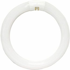 Circular
