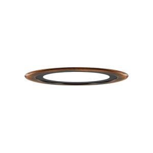 INTEGRAL EVOFIRE FIRE RATED DOWNLIGHT 70-100MM CUTOUT IP65 COPPER ROUND ADAPTER INTEGRAL