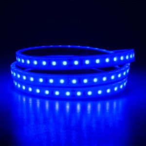 KNIGHTSBRIDGE IP67 12V BLUE LED FLEX (5 METRE)