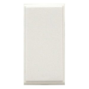 1 MODULE BLANK WHITE