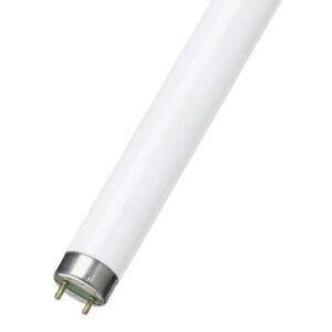 4FT 36W T8 1" BUTCHER/FOOD TUBE COL76