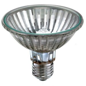 PAR30 R95 95MM 75W ES 240V FLOOD 05053