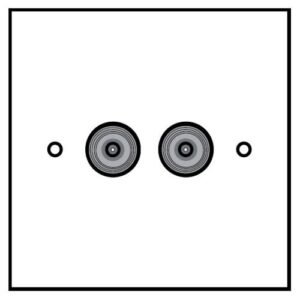 TWIN FLUSH SATELLITE PLATE